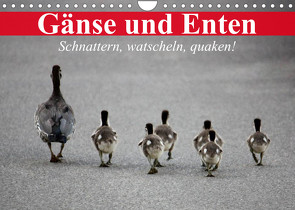 Gänse und Enten. Schnattern, watscheln, quaken! (Wandkalender 2023 DIN A4 quer) von Stanzer,  Elisabeth