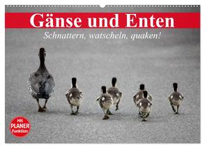 Gänse und Enten. Schnattern, watscheln, quaken! (Wandkalender 2024 DIN A2 quer), CALVENDO Monatskalender von Stanzer,  Elisabeth