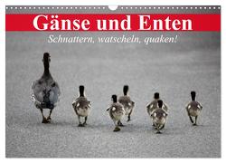 Gänse und Enten. Schnattern, watscheln, quaken! (Wandkalender 2024 DIN A3 quer), CALVENDO Monatskalender von Stanzer,  Elisabeth