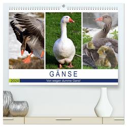 Gänse. Von wegen dumme Gans! (hochwertiger Premium Wandkalender 2024 DIN A2 quer), Kunstdruck in Hochglanz von Hurley,  Rose