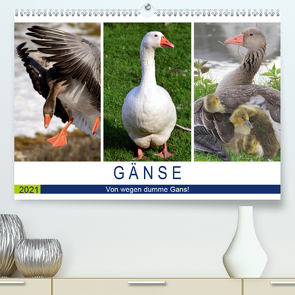 Gänse. Von wegen dumme Gans! (Premium, hochwertiger DIN A2 Wandkalender 2021, Kunstdruck in Hochglanz) von Hurley,  Rose