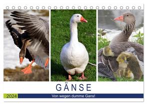 Gänse. Von wegen dumme Gans! (Tischkalender 2024 DIN A5 quer), CALVENDO Monatskalender von Hurley,  Rose