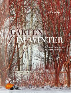 Gärten im Winter von Pollet,  Cédric