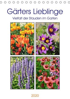 Gärtners Lieblinge – Vielfalt der Stauden im Garten (Tischkalender 2020 DIN A5 hoch) von Frost,  Anja