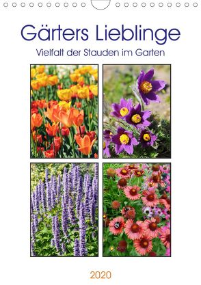 Gärtners Lieblinge – Vielfalt der Stauden im Garten (Wandkalender 2020 DIN A4 hoch) von Frost,  Anja