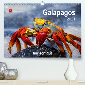 Galapagos 2021 tierisch gut (Premium, hochwertiger DIN A2 Wandkalender 2021, Kunstdruck in Hochglanz) von Bergwitz,  Uwe