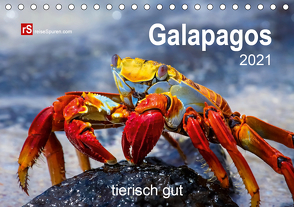 Galapagos 2021 tierisch gut (Tischkalender 2021 DIN A5 quer) von Bergwitz,  Uwe