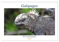 Galapagos 2024 – Tiere auf Galapagos (Wandkalender 2024 DIN A3 quer), CALVENDO Monatskalender von Biebeler,  Ralf