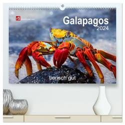 Galapagos 2024 tierisch gut (hochwertiger Premium Wandkalender 2024 DIN A2 quer), Kunstdruck in Hochglanz von Bergwitz,  Uwe