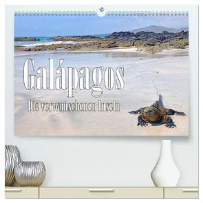 Galápagos – Die verwunschenen Inseln (hochwertiger Premium Wandkalender 2024 DIN A2 quer), Kunstdruck in Hochglanz von Schütter,  Stefan