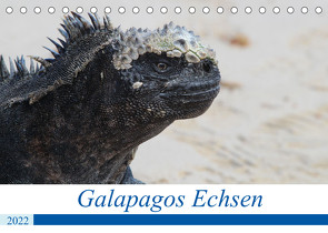 Galapagos Echsen (Tischkalender 2022 DIN A5 quer) von Reeh,  Johannes