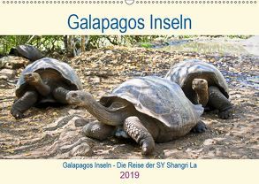 Galapagos inseln – Die Reise der SY Shangri La (Wandkalender 2019 DIN A2 quer) von Friedrich,  Christine