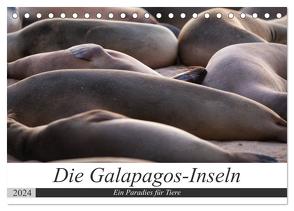 Galapagos-Inseln – Ein Paradies für Tiere (Tischkalender 2024 DIN A5 quer), CALVENDO Monatskalender von Dobrindt,  Jeanette