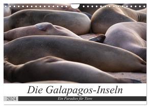 Galapagos-Inseln – Ein Paradies für Tiere (Wandkalender 2024 DIN A4 quer), CALVENDO Monatskalender von Dobrindt,  Jeanette