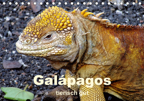 Galápagos – tierisch gut (Tischkalender 2020 DIN A5 quer) von Rudolf Blank,  Dr.