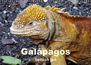 Galápagos – tierisch gut (Wandkalender 2019 DIN A3 quer) von Rudolf Blank,  Dr.