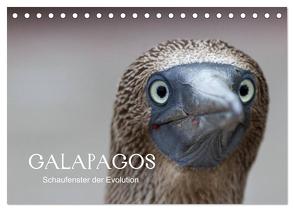 Galapagos (Tischkalender 2024 DIN A5 quer), CALVENDO Monatskalender von Weise,  Ralf