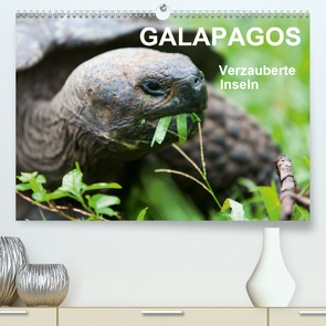 Galapagos. Verzauberte Inseln (Premium, hochwertiger DIN A2 Wandkalender 2021, Kunstdruck in Hochglanz) von Reuke,  Sabine