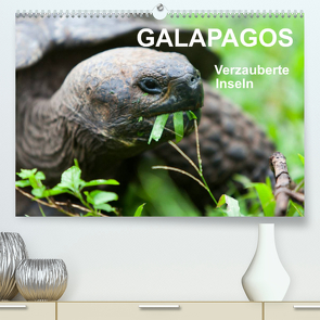 Galapagos. Verzauberte Inseln (Premium, hochwertiger DIN A2 Wandkalender 2022, Kunstdruck in Hochglanz) von Reuke,  Sabine