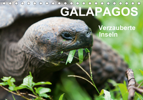 Galapagos. Verzauberte Inseln (Tischkalender 2021 DIN A5 quer) von Reuke,  Sabine