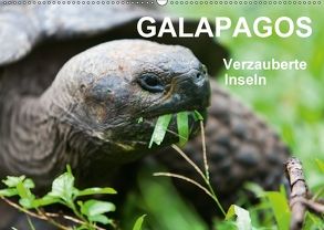 Galapagos Verzauberte Inseln (Wandkalender 2018 DIN A2 quer) von Reuke,  Sabine