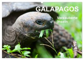 Galapagos. Verzauberte Inseln (Wandkalender 2024 DIN A2 quer), CALVENDO Monatskalender von Reuke,  Sabine