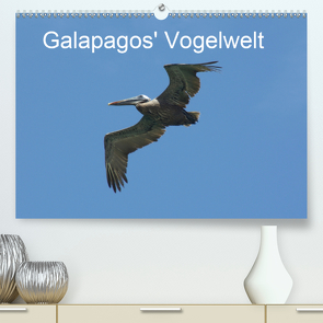 Galapagos‘ Vogelwelt (Premium, hochwertiger DIN A2 Wandkalender 2020, Kunstdruck in Hochglanz) von und Eva Schuster,  Michael