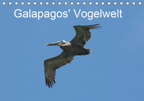 Galapagos‘ Vogelwelt (Tischkalender 2021 DIN A5 quer) von und Eva Schuster,  Michael