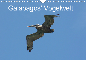 Galapagos‘ Vogelwelt (Wandkalender 2021 DIN A4 quer) von und Eva Schuster,  Michael