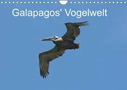 Galapagos‘ Vogelwelt (Wandkalender 2022 DIN A4 quer) von und Eva Schuster,  Michael