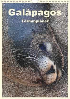 Galápagos (Wandkalender 2019 DIN A4 hoch) von Rudolf Blank,  Dr.