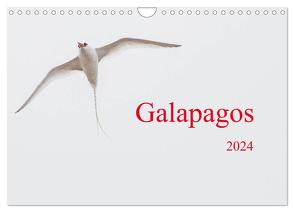 Galapagos (Wandkalender 2024 DIN A4 quer), CALVENDO Monatskalender von Leonhardy,  Thomas