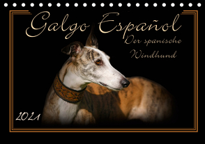 Galgo Español 2021- Der spanische Windhund (Tischkalender 2021 DIN A5 quer) von Redecker,  Andrea