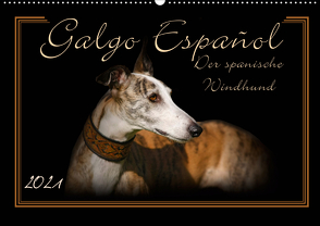 Galgo Español 2021- Der spanische Windhund (Wandkalender 2021 DIN A2 quer) von Redecker,  Andrea