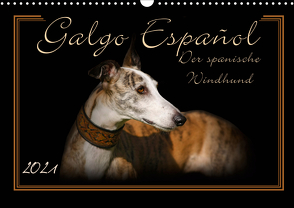 Galgo Español 2021- Der spanische Windhund (Wandkalender 2021 DIN A3 quer) von Redecker,  Andrea