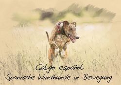 Galgo español – Spanische Windhunde in Bewegung (Tischaufsteller DIN A5 quer) von Redecker,  Andrea