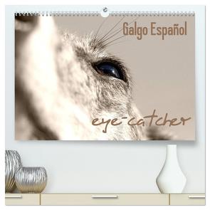 Galgo eye-catcher (hochwertiger Premium Wandkalender 2024 DIN A2 quer), Kunstdruck in Hochglanz von - Andrea Redecker,  4pfoten-design