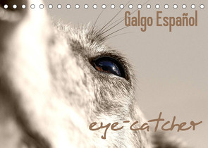 Galgo eye-catcher (Tischkalender 2023 DIN A5 quer) von - Andrea Redecker,  4pfoten-design