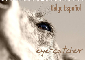 Galgo eye-catcher (Wandkalender 2023 DIN A2 quer) von - Andrea Redecker,  4pfoten-design