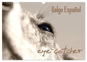 Galgo eye-catcher (Wandkalender 2024 DIN A3 quer), CALVENDO Monatskalender von - Andrea Redecker,  4pfoten-design