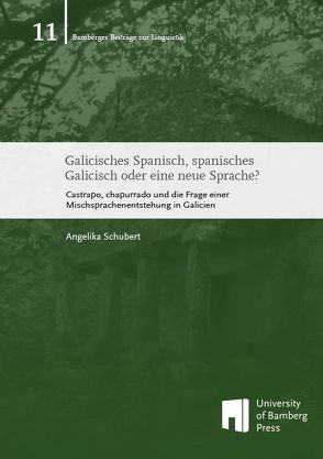 Galicisches Spanisch, spanisches Galicisch oder eine neue Sprache? von Schubert,  Angelika