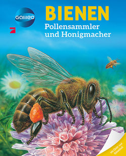 Galileo Wissen: Bienen von Beaumont,  Emilie, Boccador,  Sabine