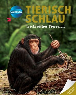 Galileo Wissen: Tierisch schlau von Boccador,  Sabine