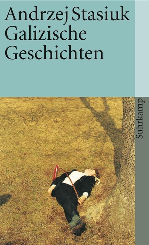 Galizische Geschichten von Schmidgall,  Renate, Stasiuk,  Andrzej