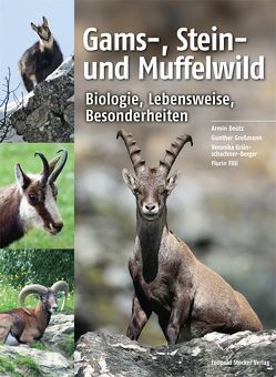 Gams-, Stein- und Muffelwild von Deutz,  Armin, Filli,  Flurin, Gressmann,  Gunther, Grünschachner-Berger,  Veronika