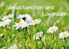 Gänseblümchen und Löwenzahn (Posterbuch DIN A2 quer) von Walker,  Christina