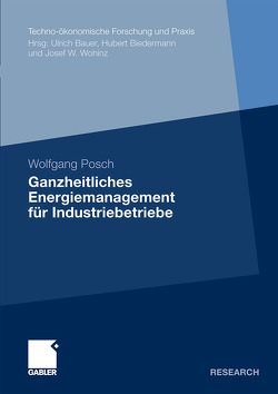 Ganzheitliches Energiemanagement für Industriebetriebe von Posch,  Wolfgang