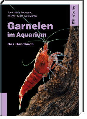 Garnelen im Aquarium von Klotz,  Werner, Martín,  Neli, Requena,  José María