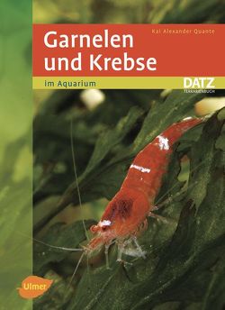 Garnelen und Krebse im Aquarium von Quante,  Kai A