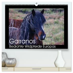 Garranos – Bedrohte Wildpferde Europas (hochwertiger Premium Wandkalender 2024 DIN A2 quer), Kunstdruck in Hochglanz von Bengtsson/www.perlenfaenger.com,  Sabine